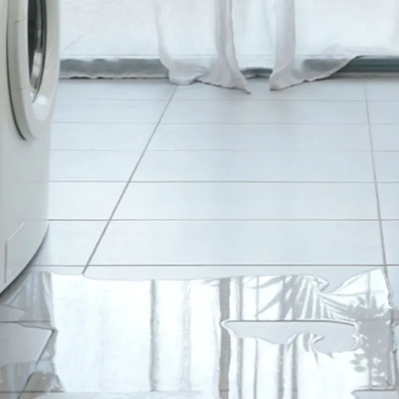 Appliance Leak Cleanup in Hebbronville, TX