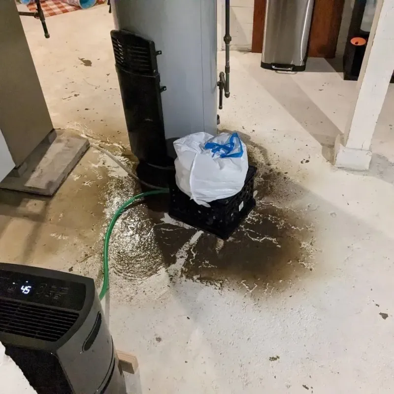 Sewage Backup Cleanup Service in Hebbronville, TX